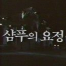 샴푸의요정 - 사상구 | 샴푸의요정