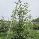 선재농장 이미지