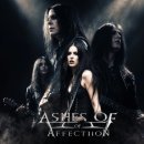 Loves Fiery Demise - Ashes of Affection 이미지