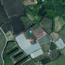 제주올레공인중개사사무소 이미지