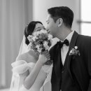 세인트41 이미지