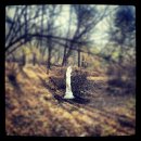 서운동산 이미지