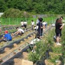 구미시농업기술센터 이미지