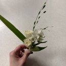 그린내추럴 | [웨딩 촬영 생화 부케] 청초함 끝판왕, 화이트 & 그린 믹스 네추럴 드롭 부케 후기🤍🌿