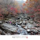 광성장여관 이미지