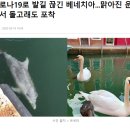 베네치아pc방