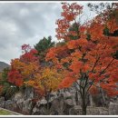 서암초교 이미지