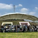 우리강아지 이미지