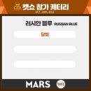 바비돌/픽시윙스캐터리 이미지