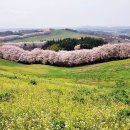 한서목장 이미지