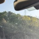 의림지무인텔 이미지