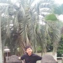 개스트하우스 말2 이미지