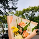 스노우폭스제주 이미지