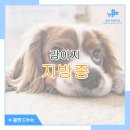봄앤동물병원