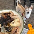 가창로84길 이미지