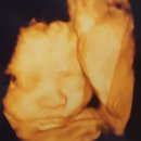 꽁냥이놀이터 이미지