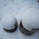 산골의하루 이미지