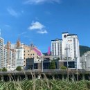 노부스테라 이미지