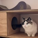 에어묘앤비 이미지