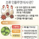 오리농장 - 강북구 오패산로 113 | 오리농장