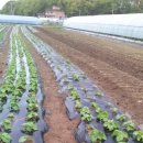 성은농장 이미지