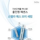 (주)스텔라글로벌