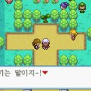 무지개체육관 이미지