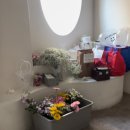 사랑투노래연습장 | wedding.3 웨딩촬영 스튜디오 후기 [ 버드투블룸 / 조안식 작가님 ]