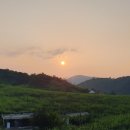배밭찻집 네이버블로그