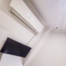 큐피트동물병원 이미지