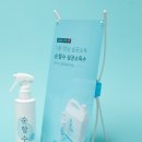 스텔라 호스텔 이미지