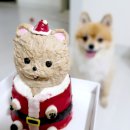 멍냠멍냠 이미지