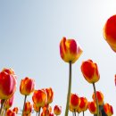 쾌청한의원 이미지