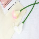 라라네 - 화성시 | 라라네