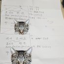 성일간판아크릴