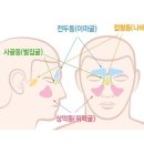 본뷰티