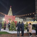 눈꽃 | 2025 울산 성남동 눈꽃축제 후기