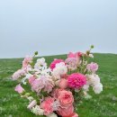 선보피스점 | 제주스냅 러베이 촬영후기 / 보정본 수령 / 제주앤샵,이주희플라워