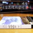 내 영혼에 바람이 분다 | 여행에세이 손미나의 페루,내영혼에 바람이 분다