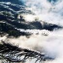 하늘계단 이미지