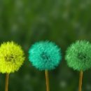 글로벗도서관 이미지