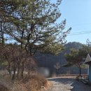 영월 애견동반 숙소 추천, 사람과 자연 펜션 솔직 후기
