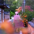 가배롱