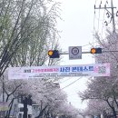 지에스25 평택청북로 | 대구벚꽃명소 고성동 사진 콘테스트 정보 참여방법 대구가볼만한곳 대구벚꽃