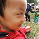 화인유치원 이미지