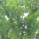 황토기와집펜션 이미지