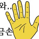 금손인력 이미지