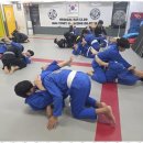 화랑합기도&부여주짓수 이미지