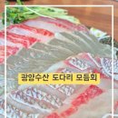 🐟가락시장 도다리 광양수산 도다리모듬회 솔직 후기