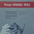 마리포사 이미지